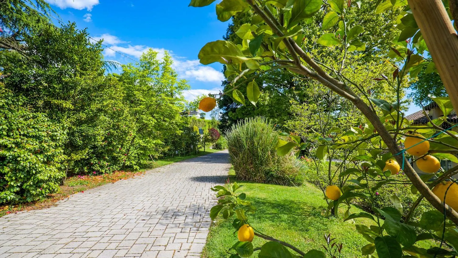 Villa Mavica Monvalle Tatil Evi